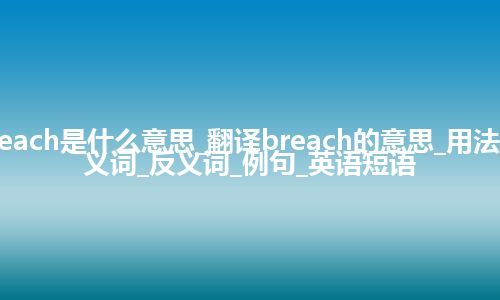 breach是什么意思_翻译breach的意思_用法_同义词_反义词_例句_英语短语