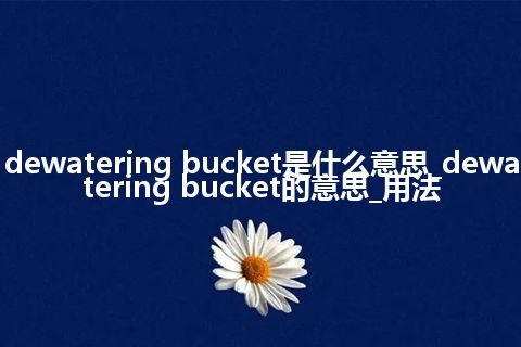dewatering bucket是什么意思_dewatering bucket的意思_用法