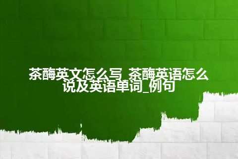 茶酶英文怎么写_茶酶英语怎么说及英语单词_例句