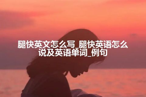 腿快英文怎么写_腿快英语怎么说及英语单词_例句