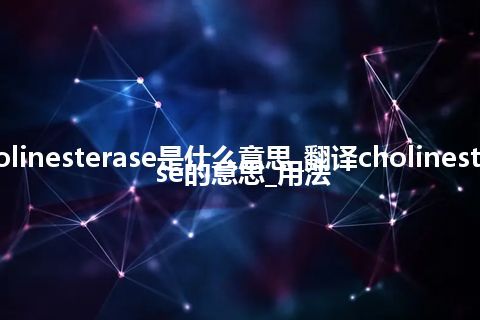 cholinesterase是什么意思_翻译cholinesterase的意思_用法