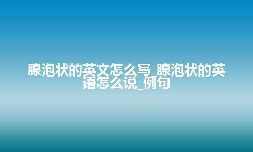 腺泡状的英文怎么写_腺泡状的英语怎么说_例句