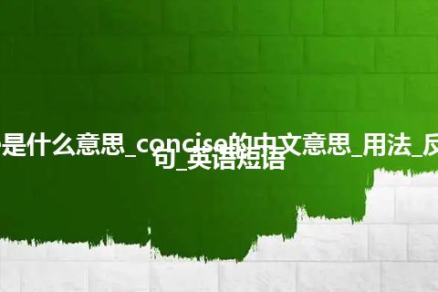concise是什么意思_concise的中文意思_用法_反义词_例句_英语短语