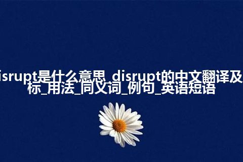 disrupt是什么意思_disrupt的中文翻译及音标_用法_同义词_例句_英语短语