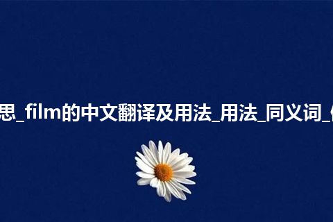 film是什么意思_film的中文翻译及用法_用法_同义词_例句_英语短语