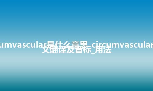 circumvascular是什么意思_circumvascular的中文翻译及音标_用法