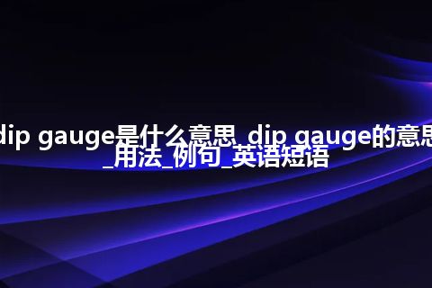 dip gauge是什么意思_dip gauge的意思_用法_例句_英语短语