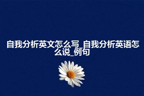 自我分析英文怎么写_自我分析英语怎么说_例句