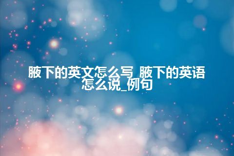 腋下的英文怎么写_腋下的英语怎么说_例句