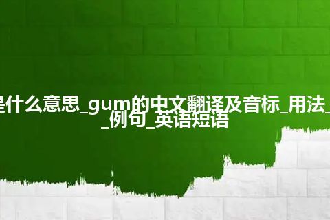 gum是什么意思_gum的中文翻译及音标_用法_同义词_例句_英语短语