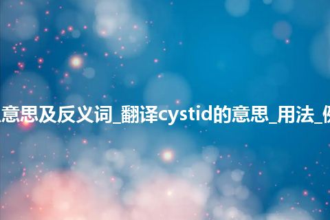 cystid是什么意思及反义词_翻译cystid的意思_用法_例句_英语短语