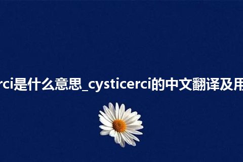 cysticerci是什么意思_cysticerci的中文翻译及用法_用法