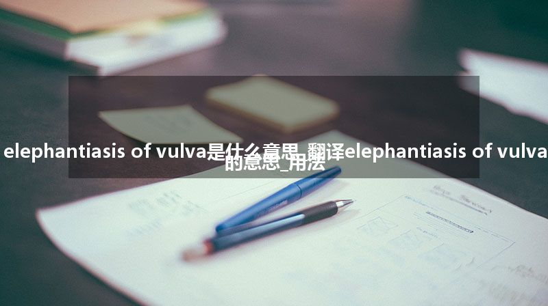 elephantiasis of vulva是什么意思_翻译elephantiasis of vulva的意思_用法