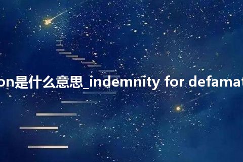 indemnity for defamation是什么意思_indemnity for defamation的中文翻译及音标_用法