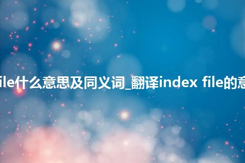 index file什么意思及同义词_翻译index file的意思_用法