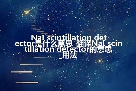NaI scintillation detector是什么意思_翻译NaI scintillation detector的意思_用法