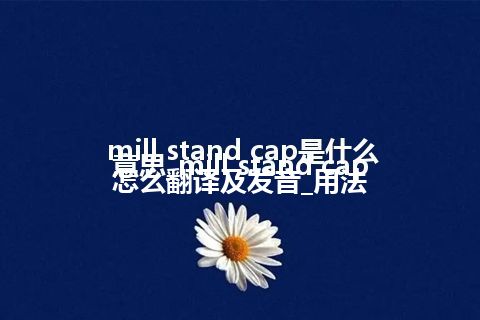 mill stand cap是什么意思_mill stand cap怎么翻译及发音_用法
