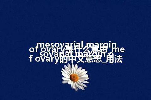 mesovarial margin of ovary是什么意思_mesovarial margin of ovary的中文意思_用法