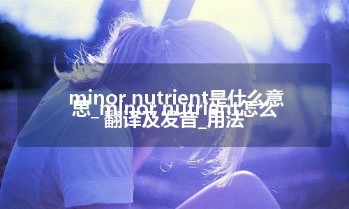 minor nutrient是什么意思_minor nutrient怎么翻译及发音_用法
