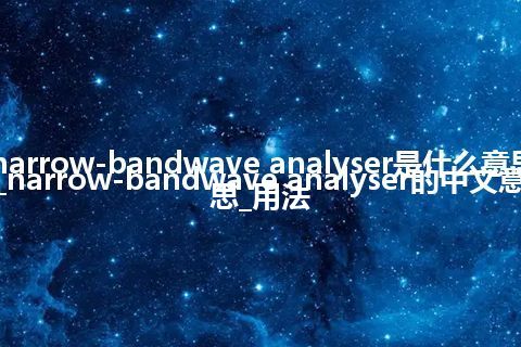 narrow-bandwave analyser是什么意思_narrow-bandwave analyser的中文意思_用法