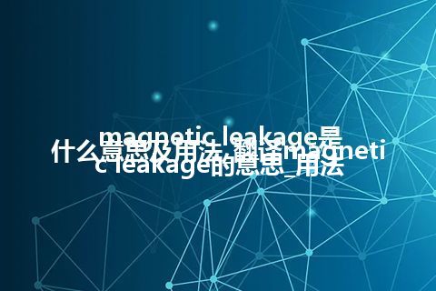 magnetic leakage是什么意思及用法_翻译magnetic leakage的意思_用法