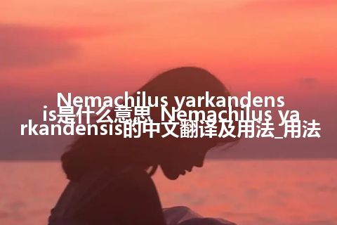 Nemachilus yarkandensis是什么意思_Nemachilus yarkandensis的中文翻译及用法_用法