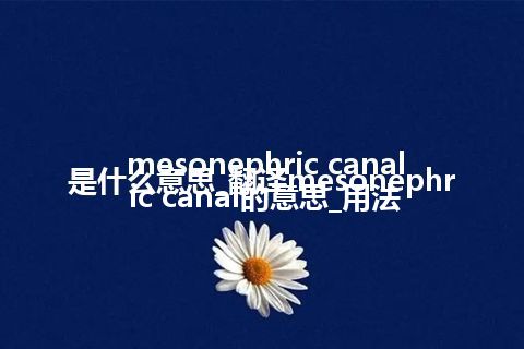 mesonephric canal是什么意思_翻译mesonephric canal的意思_用法