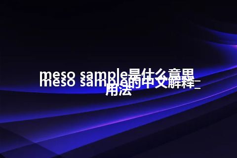 meso sample是什么意思_meso sample的中文解释_用法