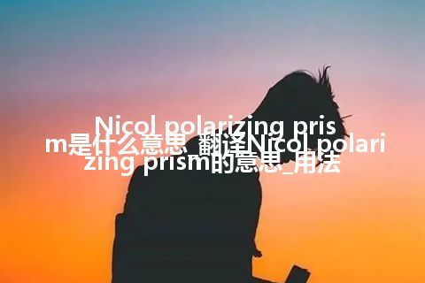 Nicol polarizing prism是什么意思_翻译Nicol polarizing prism的意思_用法