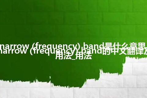 narrow (frequency) band是什么意思_narrow (frequency) band的中文翻译及用法_用法
