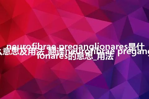 neurofibrae preganglionares是什么意思及用法_翻译neurofibrae preganglionares的意思_用法