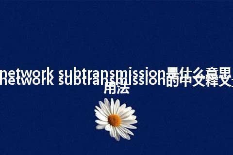 network subtransmission是什么意思_network subtransmission的中文释义_用法