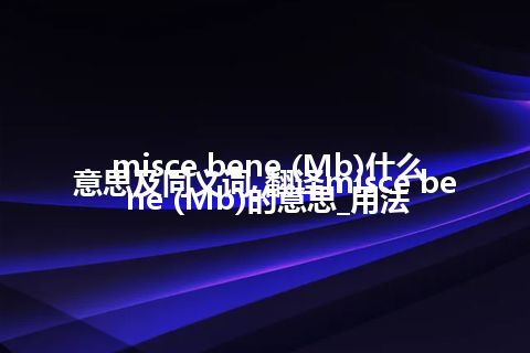 misce bene (Mb)什么意思及同义词_翻译misce bene (Mb)的意思_用法