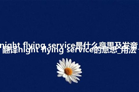 night flying service是什么意思及发音_翻译night flying service的意思_用法