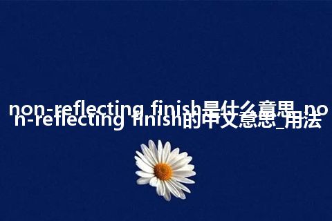non-reflecting finish是什么意思_non-reflecting finish的中文意思_用法