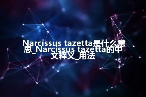 Narcissus tazetta是什么意思_Narcissus tazetta的中文释义_用法