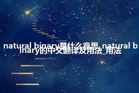 natural binary是什么意思_natural binary的中文翻译及用法_用法