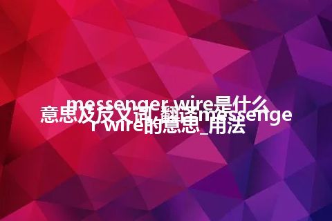 messenger wire是什么意思及反义词_翻译messenger wire的意思_用法