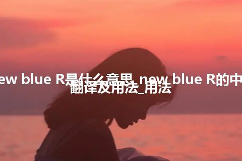 new blue R是什么意思_new blue R的中文翻译及用法_用法