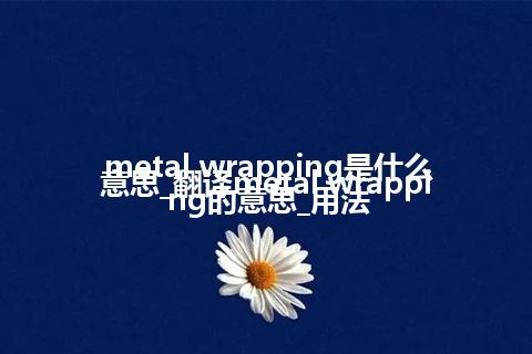 metal wrapping是什么意思_翻译metal wrapping的意思_用法