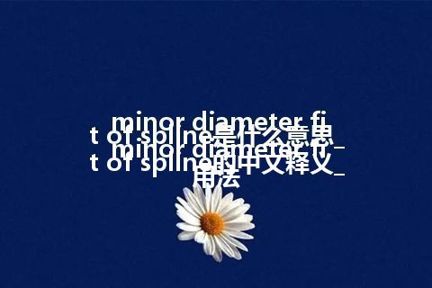 minor diameter fit of spline是什么意思_minor diameter fit of spline的中文释义_用法