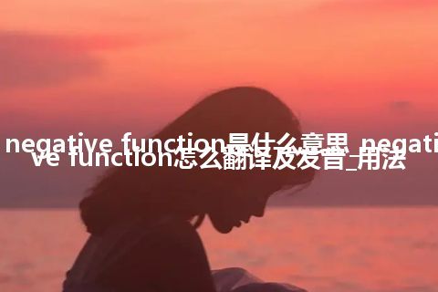 negative function是什么意思_negative function怎么翻译及发音_用法