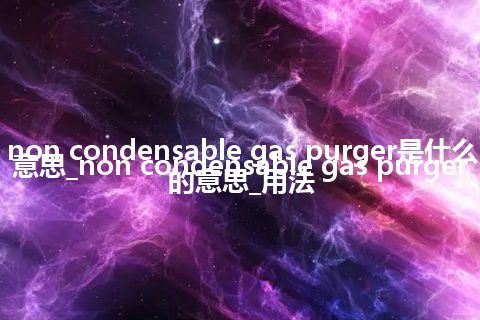 non condensable gas purger是什么意思_non condensable gas purger的意思_用法