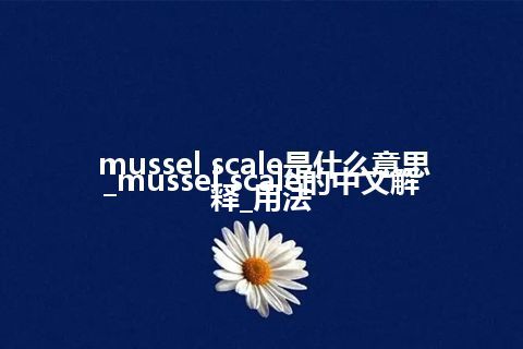 mussel scale是什么意思_mussel scale的中文解释_用法