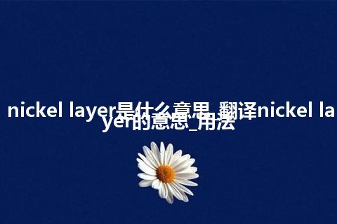 nickel layer是什么意思_翻译nickel layer的意思_用法