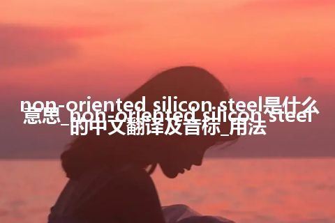non-oriented silicon steel是什么意思_non-oriented silicon steel的中文翻译及音标_用法