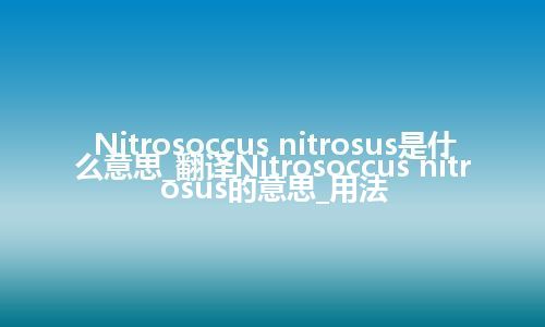 Nitrosoccus nitrosus是什么意思_翻译Nitrosoccus nitrosus的意思_用法