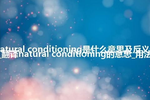 natural conditioning是什么意思及反义词_翻译natural conditioning的意思_用法