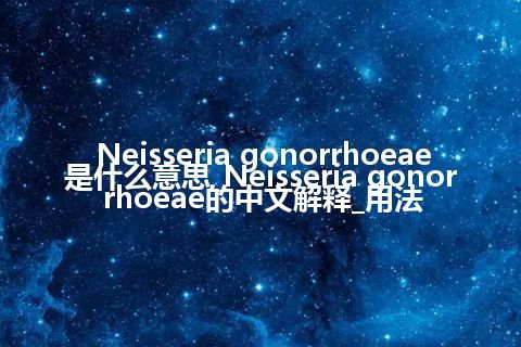 Neisseria gonorrhoeae是什么意思_Neisseria gonorrhoeae的中文解释_用法