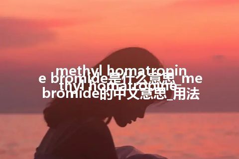 methyl homatropine bromide是什么意思_methyl homatropine bromide的中文意思_用法